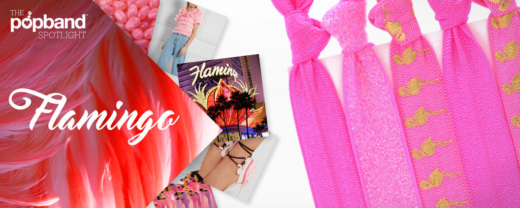 Spotlight on... Flamingo